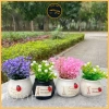 Chậu cây tiểu cảnh OTOVIP - Set bàn, tablo xe, tượng, giảm còn 44.100 VND