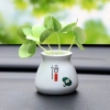 Chậu cây tiểu cảnh OTOVIP - Set bàn, tablo xe, tượng, giảm còn 44.100 VND 10