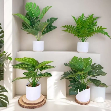 Chậu cây xanh giả hình rùa - Trang trí phòng khách, bàn làm việc, chỉ 35.000₫ 2
