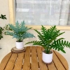 Chậu cây xanh giả hình rùa - Trang trí phòng khách, bàn làm việc, chỉ 35.000₫ 3