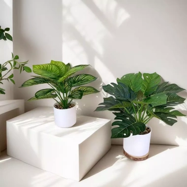 Chậu cây xanh giả hình rùa - Trang trí phòng khách, bàn làm việc, chỉ 35.000₫ 4