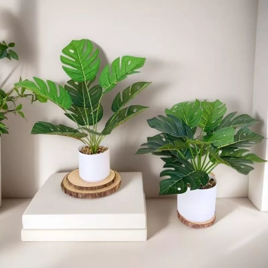 Chậu cây xanh giả hình rùa - Trang trí phòng khách, bàn làm việc, chỉ 35.000₫ 5