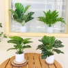 Chậu cây xanh giả hình rùa - Trang trí phòng khách, bàn làm việc, chỉ 35.000₫ 7