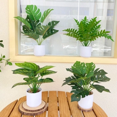 Chậu cây xanh giả hình rùa - Trang trí phòng khách, bàn làm việc, chỉ 35.000₫ 7
