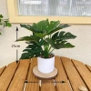 Chậu cây xanh giả hình rùa - Trang trí phòng khách, bàn làm việc, chỉ 35.000₫ 8