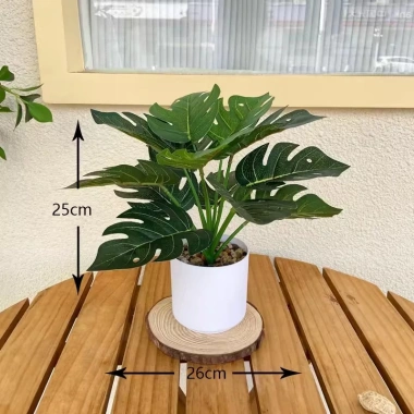 Chậu cây xanh giả hình rùa - Trang trí phòng khách, bàn làm việc, chỉ 35.000₫ 8
