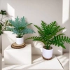 Chậu cây xanh giả hình rùa - Trang trí phòng khách, bàn làm việc, chỉ 35.000₫ 9