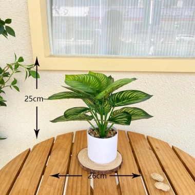 Chậu cây xanh giả hình rùa - Trang trí phòng khách, bàn làm việc, chỉ 35.000₫ 10