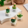 Chậu Cây Xương Rồng Mini Nhựa Resin - Trang trí bàn ngủ, giá chỉ 29.370₫ 7