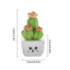 Chậu Cây Xương Rồng Mini Nhựa Resin - Trang trí bàn ngủ, giá chỉ 29.370₫ 10