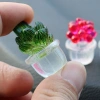 Chậu Cây Xương Rồng Mini Nhựa Resin Trong Suốt - Trang Trí Bàn Giá 38.5k 3