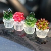 Chậu Cây Xương Rồng Mini Nhựa Resin Trong Suốt - Trang Trí Bàn Giá 38.5k 4