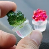 Chậu Cây Xương Rồng Mini Nhựa Resin Trong Suốt Trang Trí Bàn Giá Ưu Đãi 38,500 VND 3