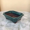 Chậu Chữ Nhật Vát Mini Bonsai Tiểu Cảnh Gốm Sứ Bát Tràng Loại 1 Giá 50.000₫ 2