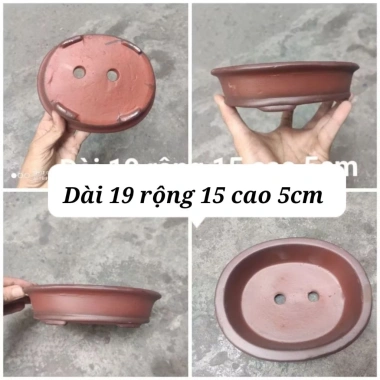 Chậu Chữ Nhật Vát Mini Bonsai Tiểu Cảnh Gốm Sứ Bát Tràng Loại 1 Giá 50.000₫ 9