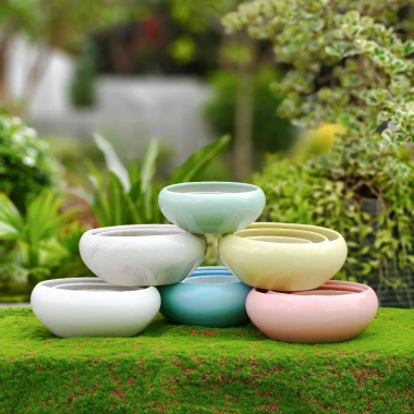 Chậu Gốm Sứ Ang Bo Dùng - Cây Cảnh Mini Phòng Khách & Bàn - Giá 39.000 VND