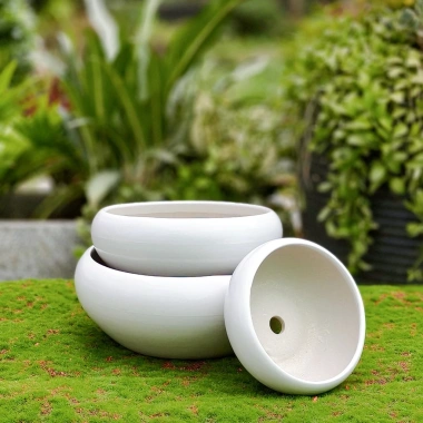 Chậu Gốm Sứ Ang Bo Dùng - Cây Cảnh Mini Phòng Khách & Bàn - Giá 39.000 VND