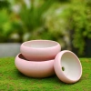 Chậu Gốm Sứ Ang Bo Dùng - Cây Cảnh Mini Phòng Khách & Bàn - Giá 39.000 VND 3