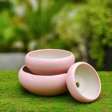 Chậu Gốm Sứ Ang Bo Dùng - Cây Cảnh Mini Phòng Khách & Bàn - Giá 39.000 VND
