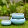Chậu Gốm Sứ Ang Bo Dùng - Cây Cảnh Mini Phòng Khách & Bàn - Giá 39.000 VND 4