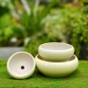 Chậu Gốm Sứ Ang Bo Dùng - Cây Cảnh Mini Phòng Khách & Bàn - Giá 39.000 VND 5
