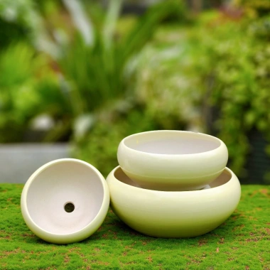 Chậu Gốm Sứ Ang Bo Dùng - Cây Cảnh Mini Phòng Khách & Bàn - Giá 39.000 VND
