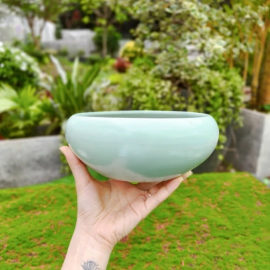 Chậu Gốm Sứ Ang Bo Dùng - Cây Cảnh Mini Phòng Khách & Bàn - Giá 39.000 VND