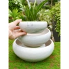 Chậu Gốm Sứ Ang Bo Dùng - Cây Cảnh Mini Phòng Khách & Bàn - Giá 39.000 VND 10