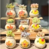 Chậu gốm sứ mini CHAUM28 hoa vàng - Trang trí bàn, sen đá, cây cảnh cute, chỉ 38.000₫