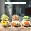 Chậu gốm sứ mini CHAUM28 hoa vàng - Trang trí bàn, sen đá, cây cảnh cute, chỉ 38.000₫ 2