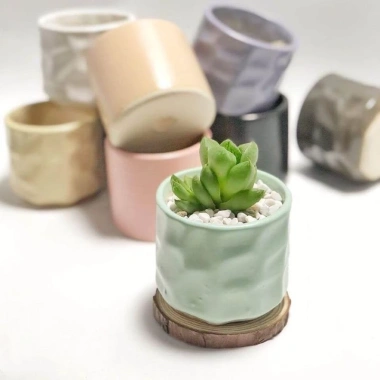 Chậu gốm sứ mini cỡ nhỏ - Trồng cây bàn, sen đá, trang trí nhà cửa, chỉ 20.000₫ 7