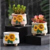 Chậu gốm sứ mini hoa hướng dương CHAUM8 - Decor bàn cute, cây cảnh, chỉ 38.000đ 4