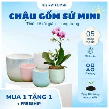 Chậu gốm sứ mini nắp phích thiết kế HUY NAM - Đa màu, giá 30.000 bàn, ban công