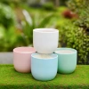 Chậu gốm sứ mini nắp phích thiết kế HUY NAM - Đa màu, giá 30.000 bàn, ban công 2