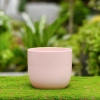 Chậu gốm sứ mini nắp phích thiết kế HUY NAM - Đa màu, giá 30.000 bàn, ban công 5