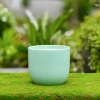 Chậu gốm sứ mini nắp phích thiết kế HUY NAM - Đa màu, giá 30.000 bàn, ban công 6