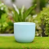 Chậu gốm sứ mini nắp phích thiết kế HUY NAM - Đa màu, giá 30.000 bàn, ban công 7