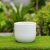 Chậu gốm sứ mini nắp phích thiết kế HUY NAM - Đa màu, giá 30.000 bàn, ban công 10