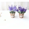 Chậu Hoa Lavender Mini Siêu Đẹp Cho Bàn Trang Trí - Giá Ưu Đãi 45k (Giảm 11.25k)