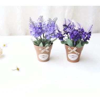 Chậu Hoa Lavender Mini Siêu Đẹp Cho Bàn Trang Trí - Giá Ưu Đãi 45k (Giảm 11.25k)