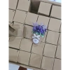 Chậu Hoa Lavender Mini Siêu Đẹp Cho Bàn Trang Trí - Giá Ưu Đãi 45k (Giảm 11.25k) 2