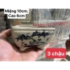 Chậu mini bonsai gốm Bát Tràng - Giá 19.000đ, chất liệu cao, thiết kế tinh tế 6