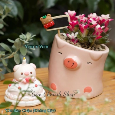Chậu mini cây cảnh sen đá, xương rồng - Giá chỉ 39.000 VNĐ, thiết kế chậu động vật 6 Chậu mini cây cảnh sen đá, xương rồng - Giá chỉ 39.000 VNĐ, thiết kế chậu động vật 6