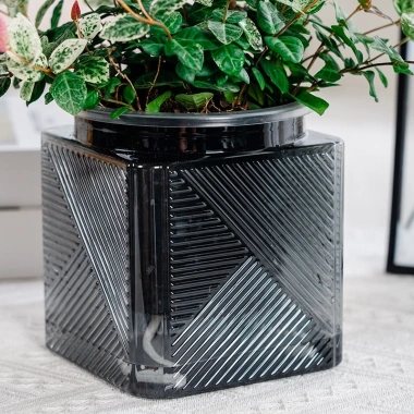 Chậu nhựa bán thủy sinh mini cho cây cảnh để bàn Giá 28.000₫, nhẹ, chịu nước 2 Chậu nhựa bán thủy sinh mini cho cây cảnh để bàn Giá 28.000₫, nhẹ, chịu nước 2