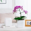 Chậu nhựa bán thủy sinh mini cho cây cảnh để bàn Giá 28.000₫, nhẹ, chịu nước 3