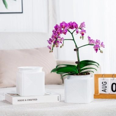Chậu nhựa bán thủy sinh mini cho cây cảnh để bàn Giá 28.000₫, nhẹ, chịu nước