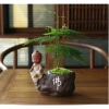 Chậu nhựa mềm Thủy tùng đa năng cho bàn, terrarium, bán cạn – Giá ưu đãi 33.000đ 5