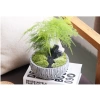 Chậu nhựa mềm Thủy tùng đa năng cho bàn, terrarium, bán cạn – Giá ưu đãi 33.000đ 6