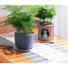 Chậu nhựa mềm Thủy tùng đa năng cho bàn, terrarium, bán cạn – Giá ưu đãi 33.000đ 8