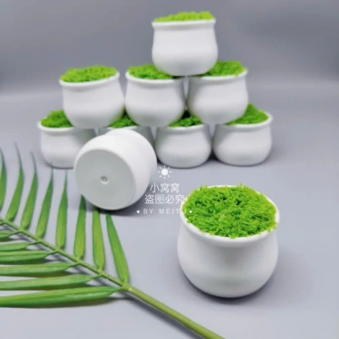 Chậu nhựa mini xốp cỏ xanh - Trang trí cây cảnh, giá 40.000đ giảm từ 51.200đ 3